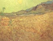 Vincent Van Gogh Wheat Fields with Reaper at Sunrise (nn04) china oil painting artist